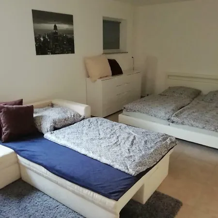 شقة Ferienwohnung Loachwiesen - #122864